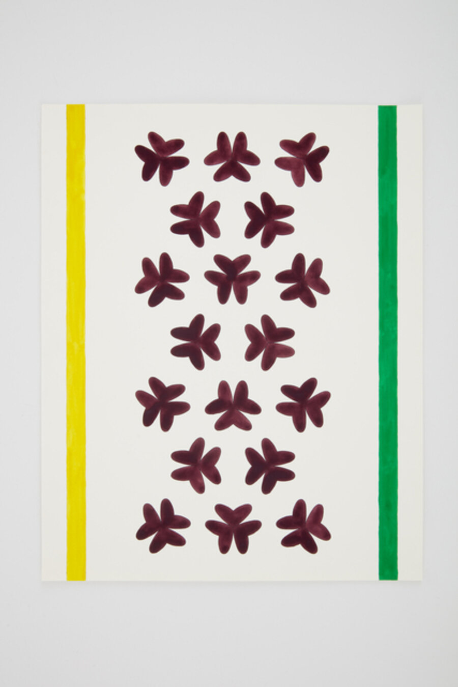 Oxalis