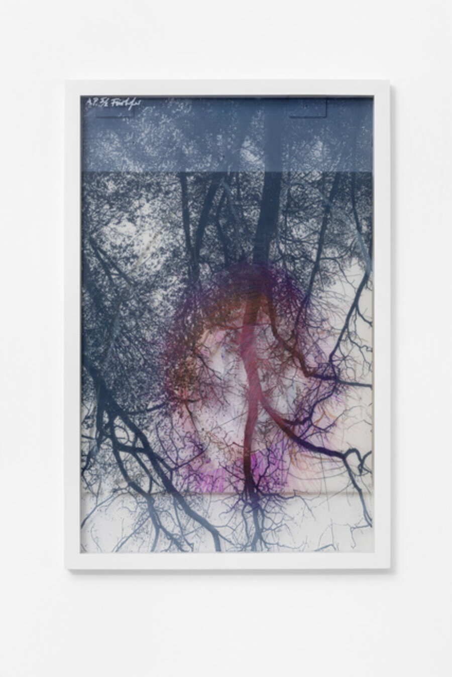 X-Rays of Sunlight, IV