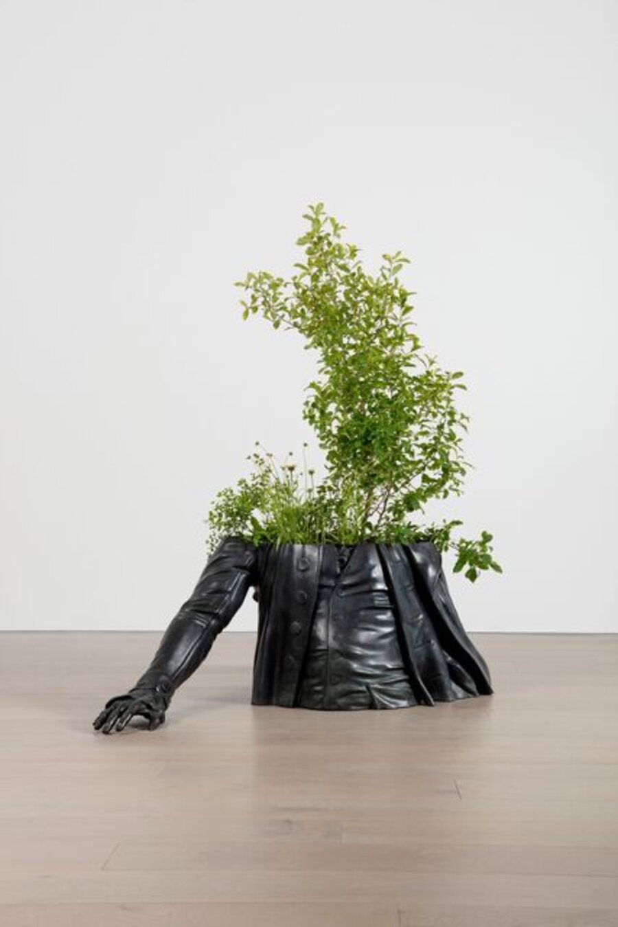 Wild Flowers: A Chest