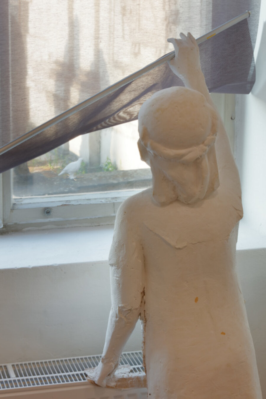 A Girl With Pigeon