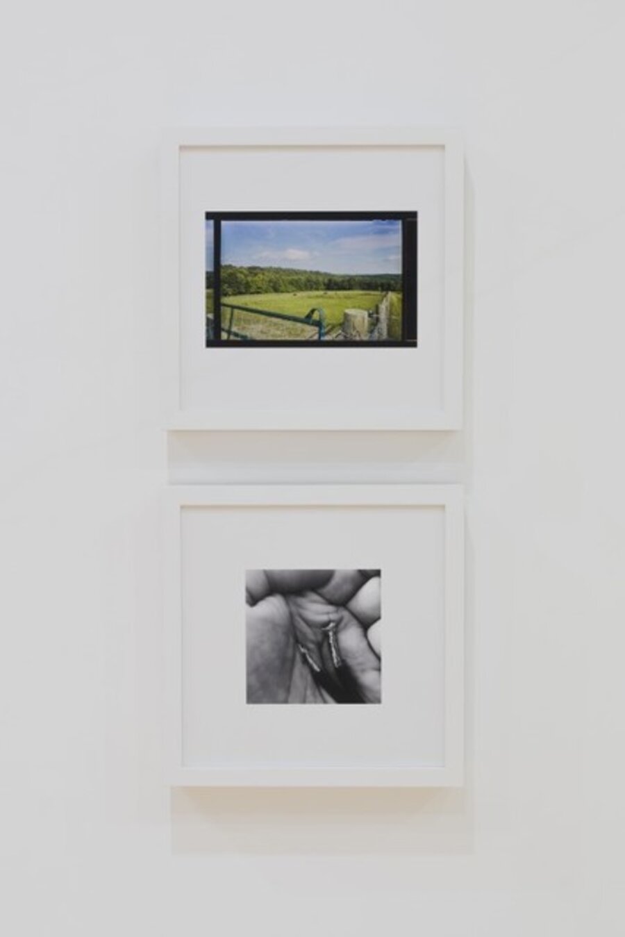for elisa harkins + for layli long soldier