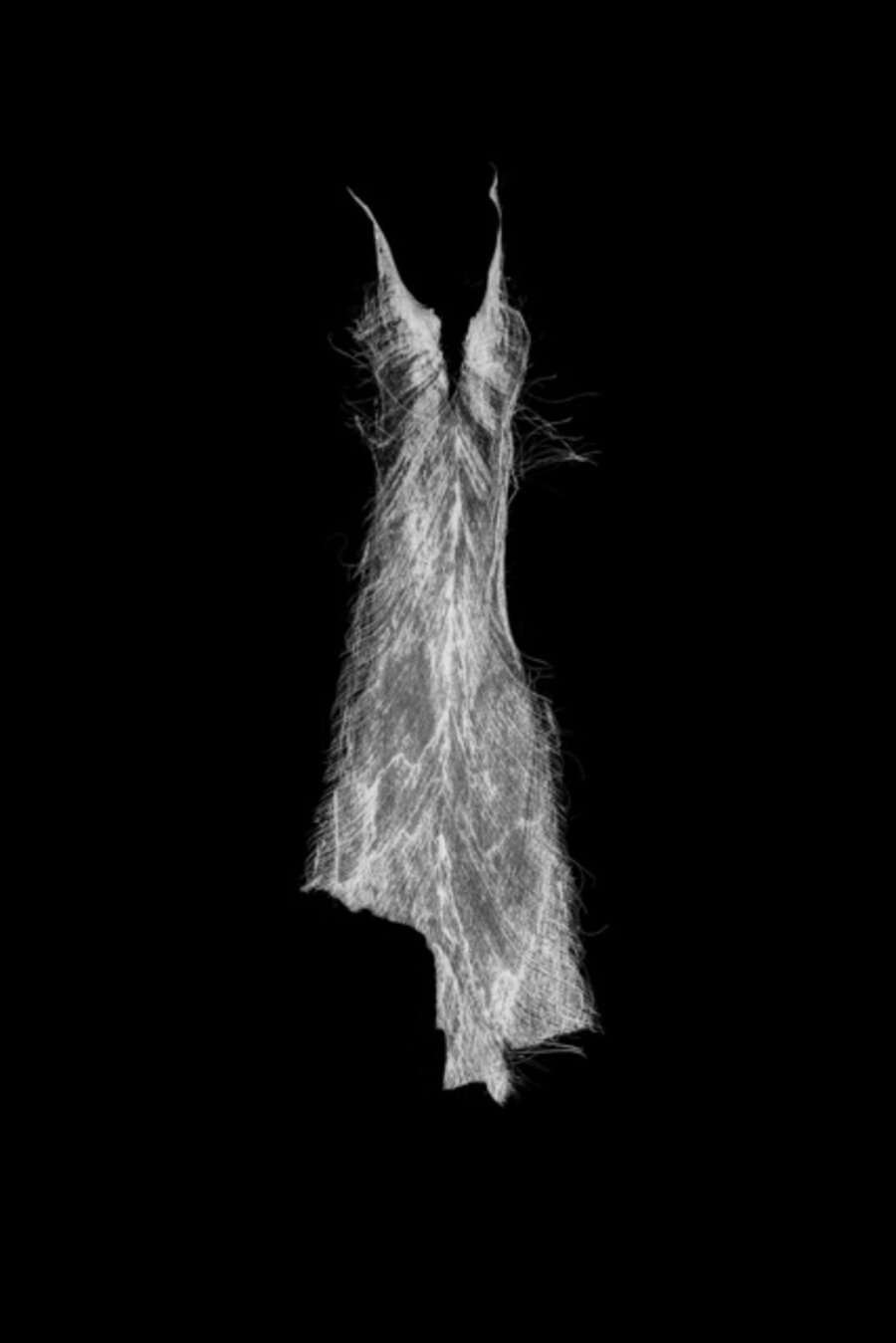 Untitled (Negative Husk Dress)