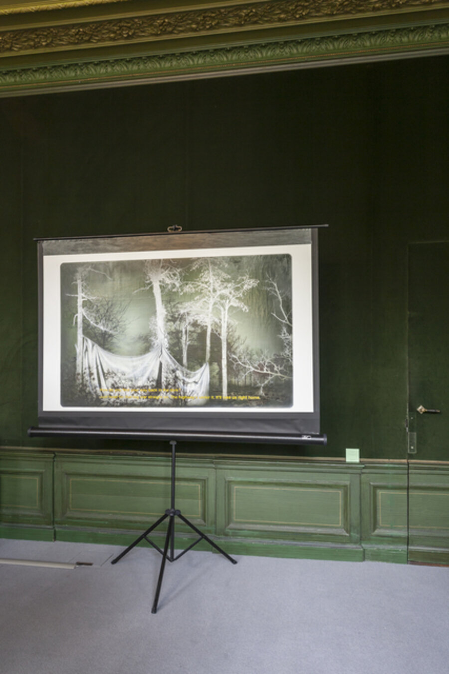 Portrait of a Video Still