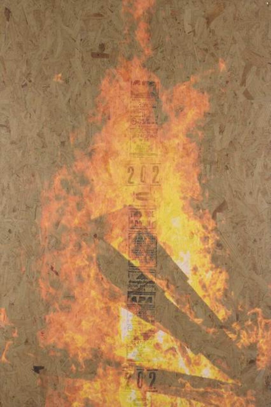 Bonfire 9