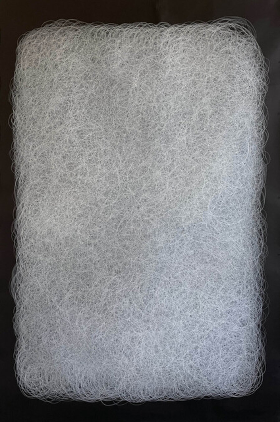 20000 Circles