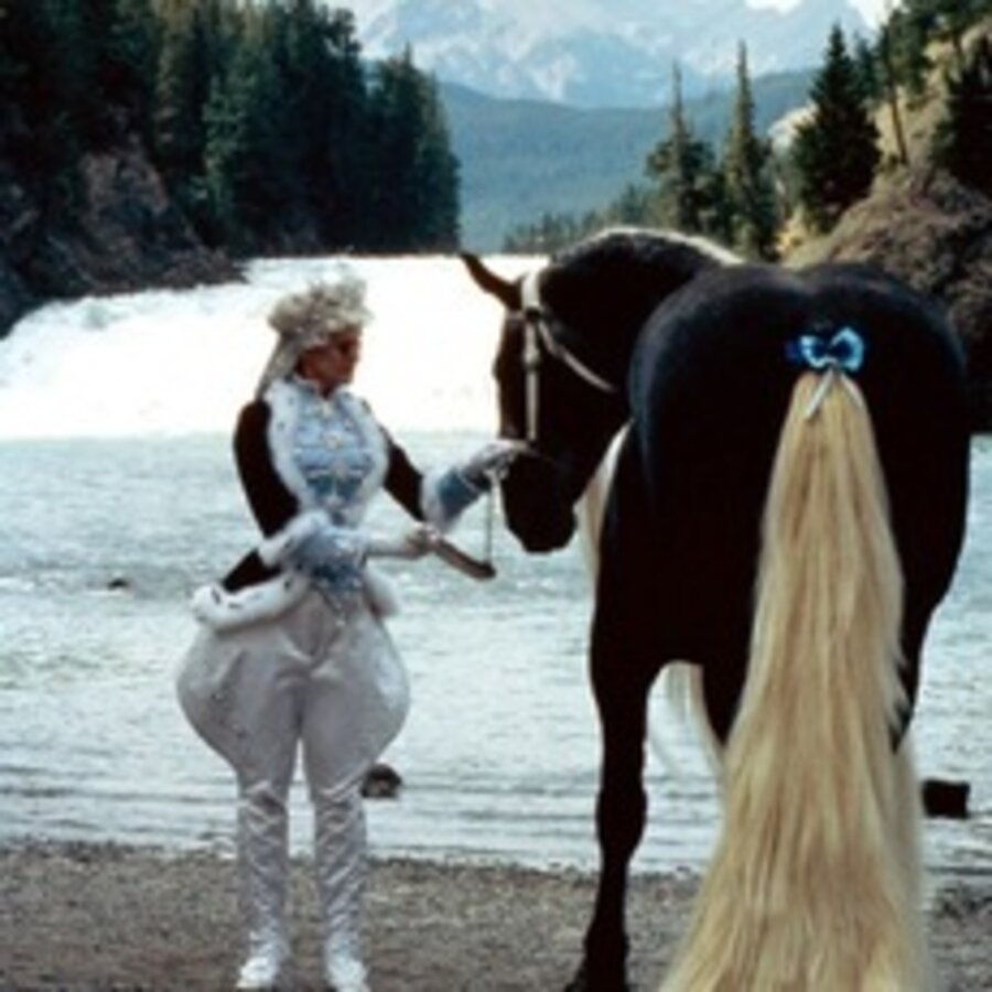 Princess - The Bride of the Idea