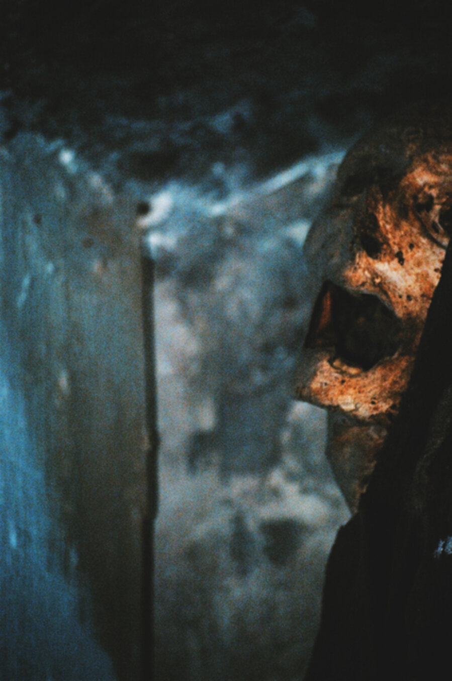 Il grido / The scream (Le Catacombe dei Cappuccini)