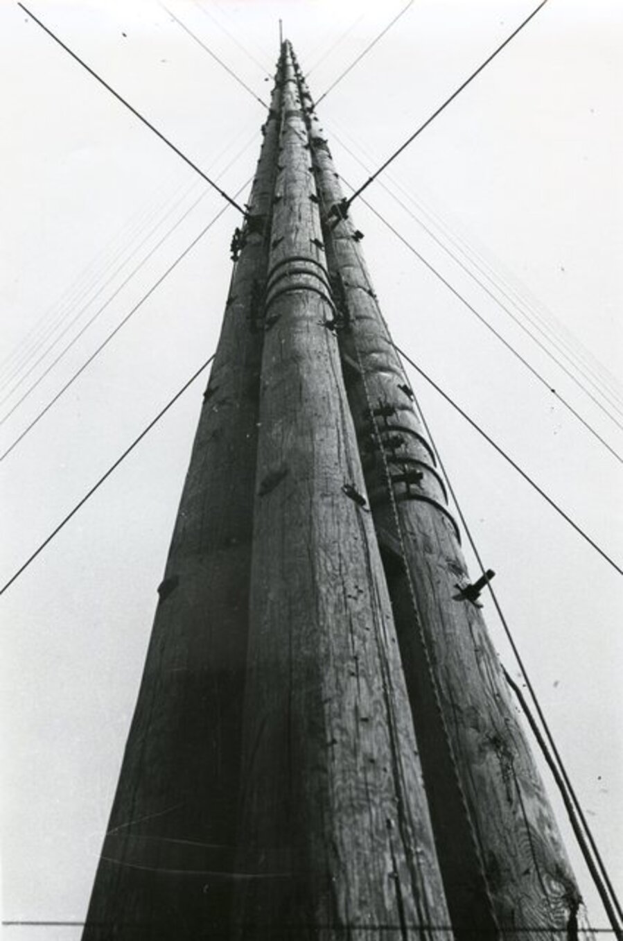 Electricity Poles