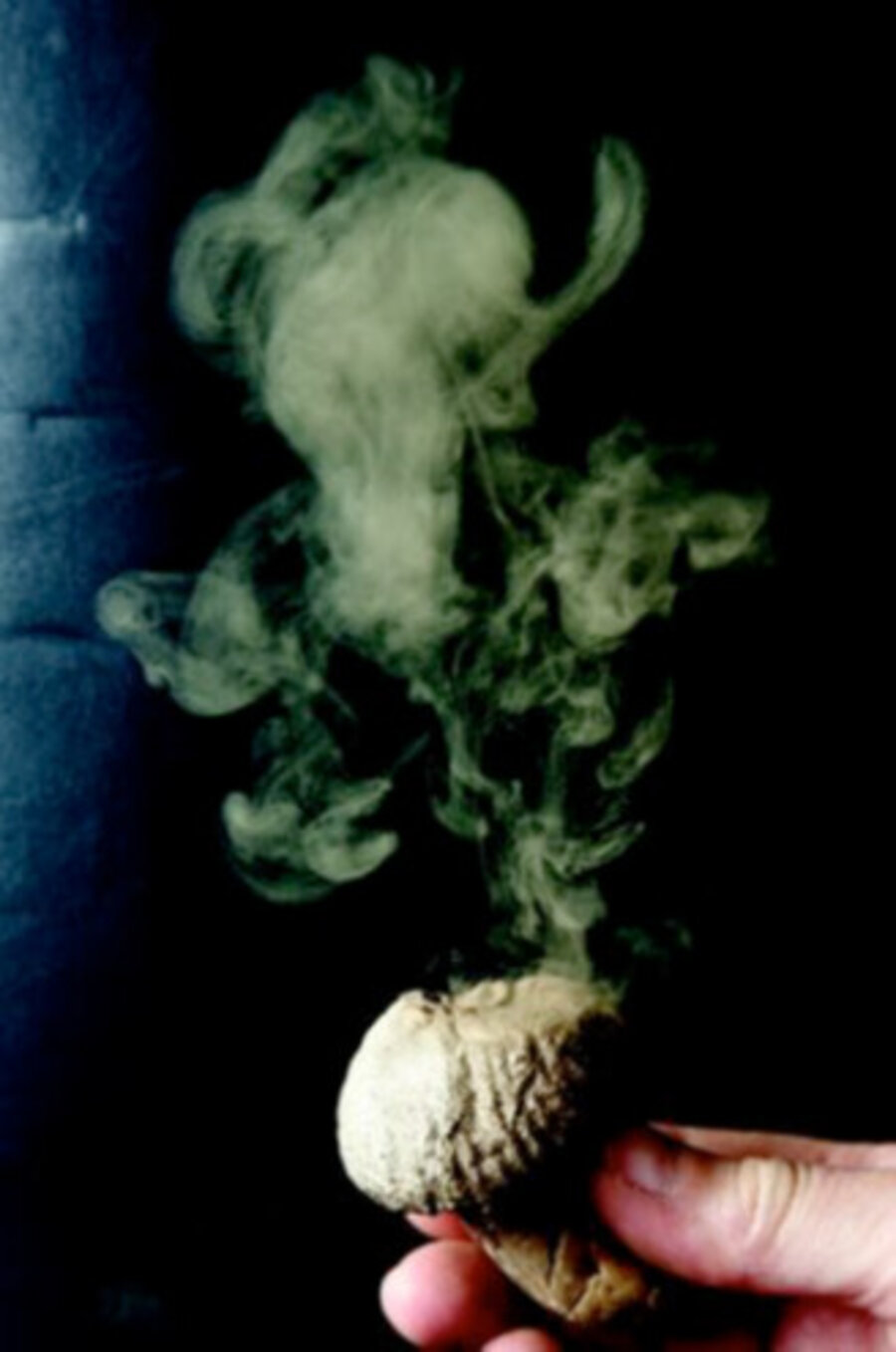 Ghost