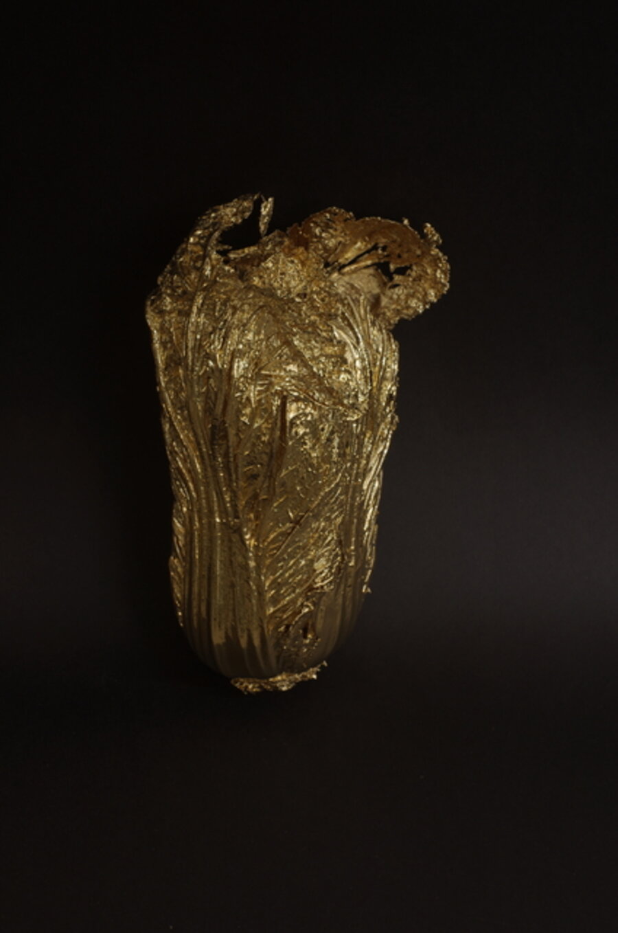 A Quick Change ─ A Quick Change ─ Gold Cabbage No.9 《金蝉脱壳·金百财》九号