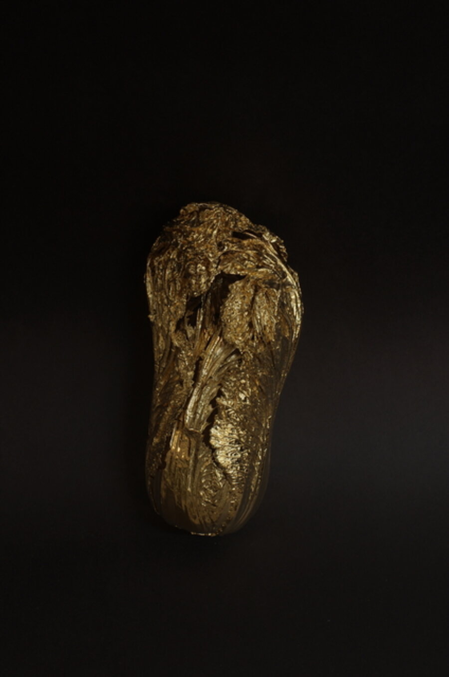 A Quick Change ─ A Quick Change ─ Gold Cabbage No.5 《金蝉脱壳·金百财》五号
