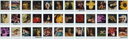 Nobuyoshi Araki, ‘36 Polaroids’, n.d.