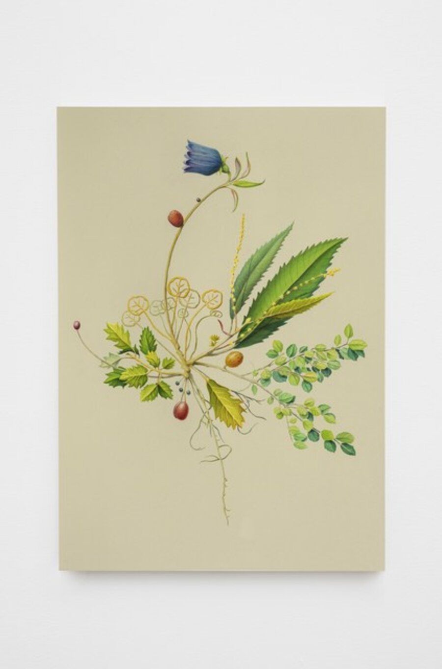Dignified Body (Design for Monumental Living)