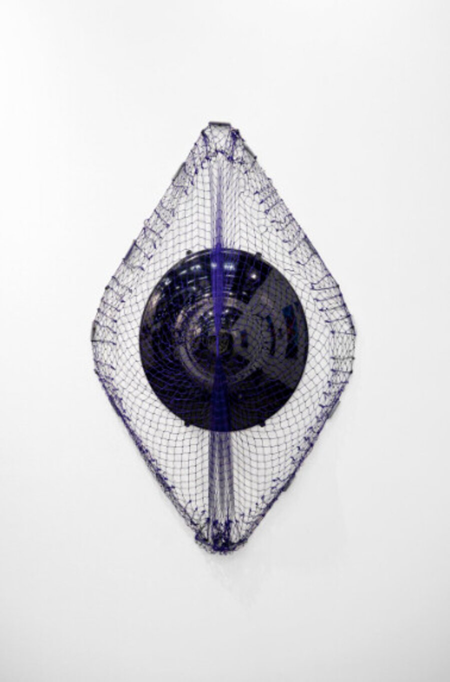 Concha azul / Blue shell