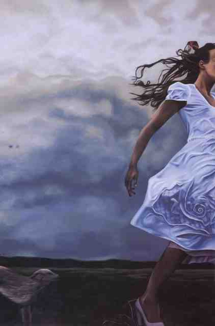 Storm Chasing Dog Chasing Girl Chasing Storm