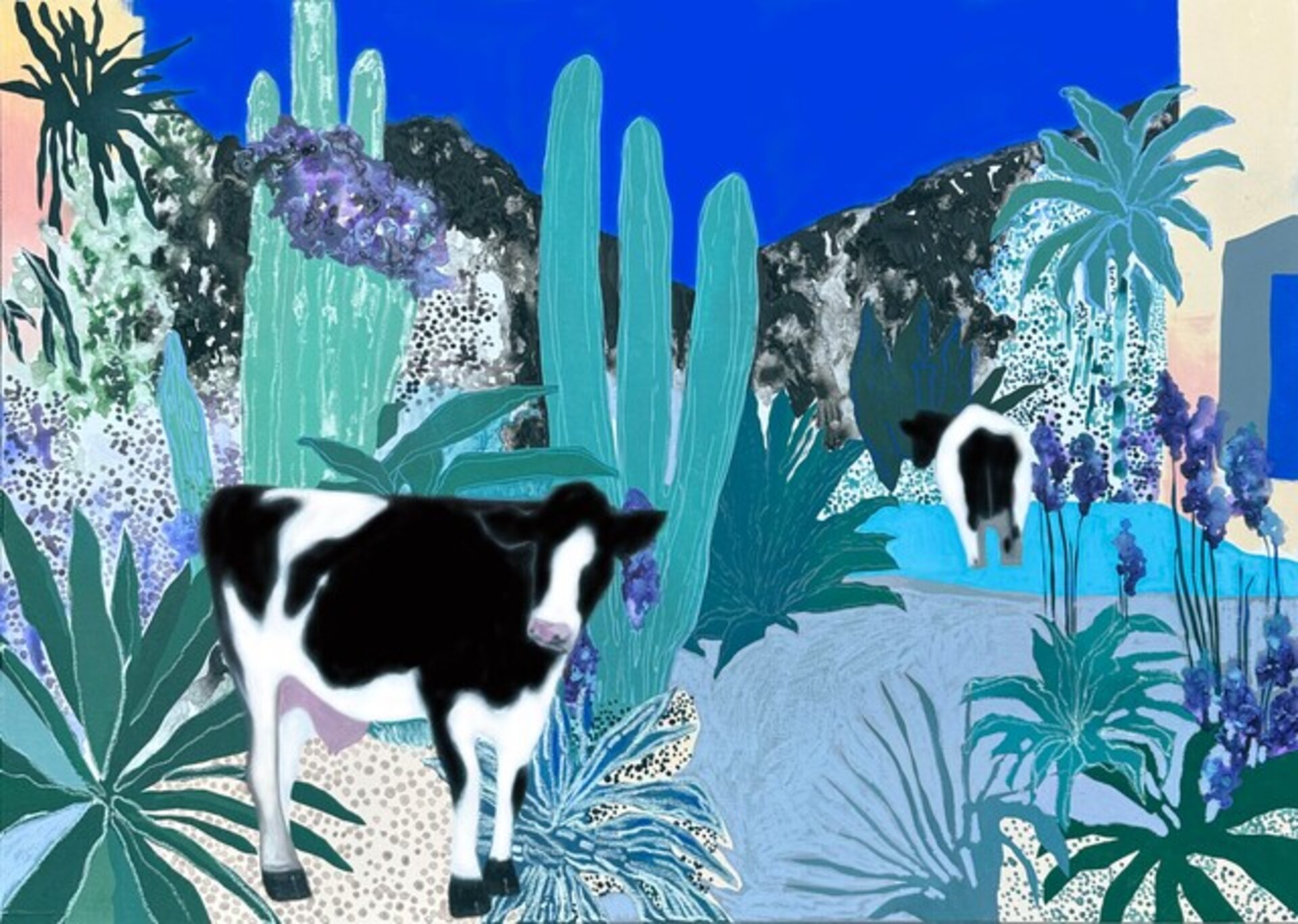 A Cow