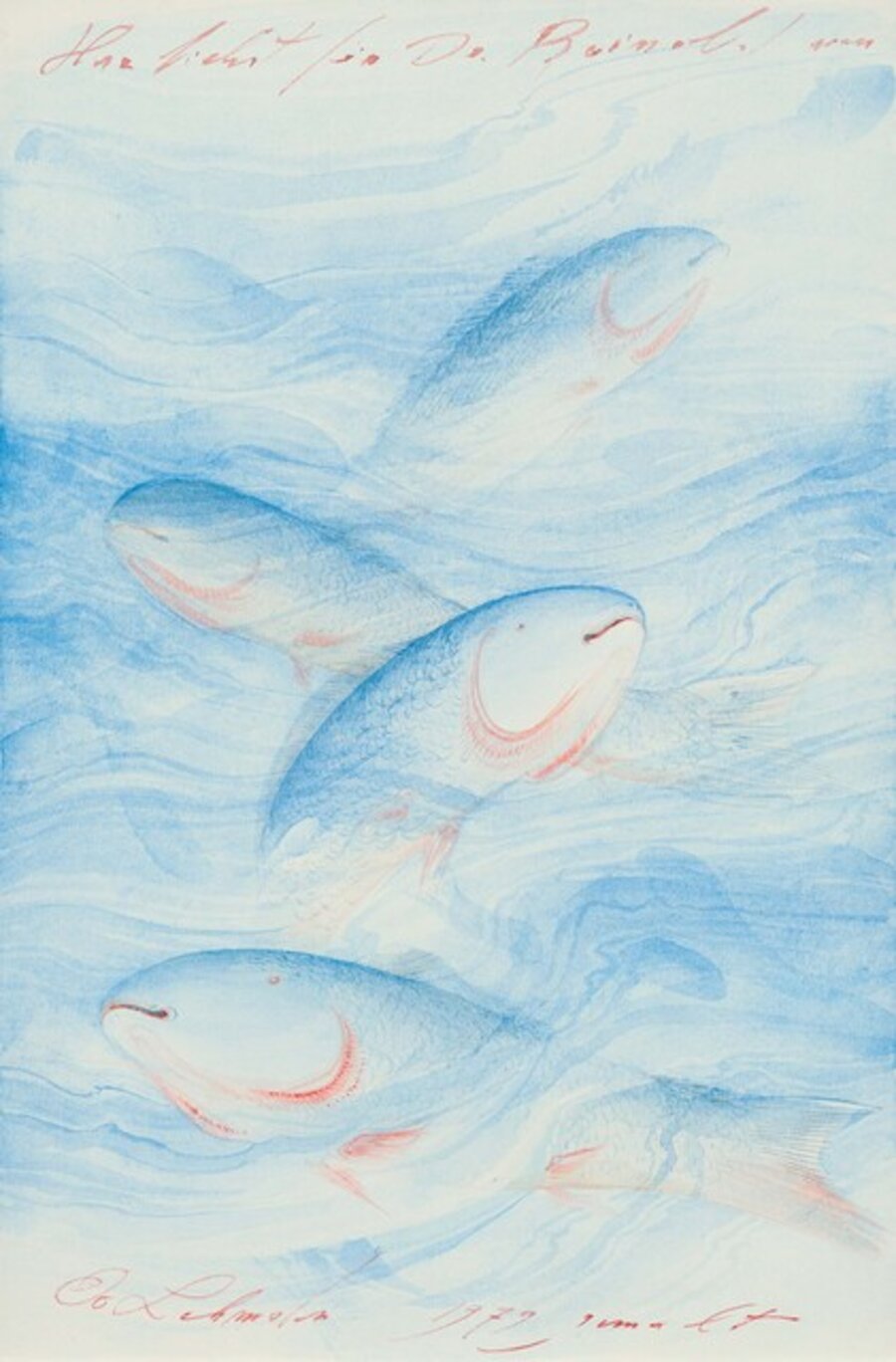 Bluefish