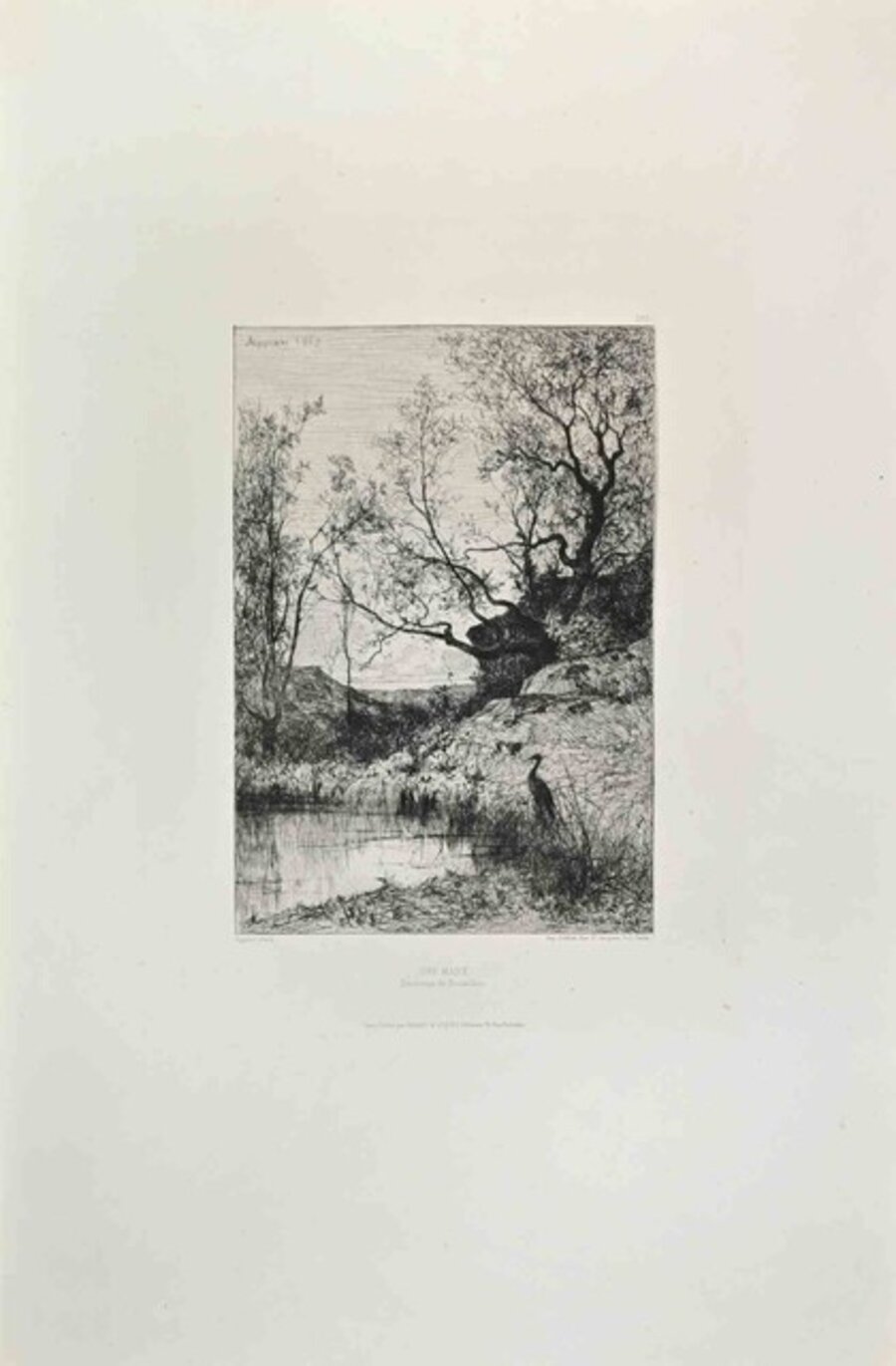 Une Mare (Environs de Roussillon)