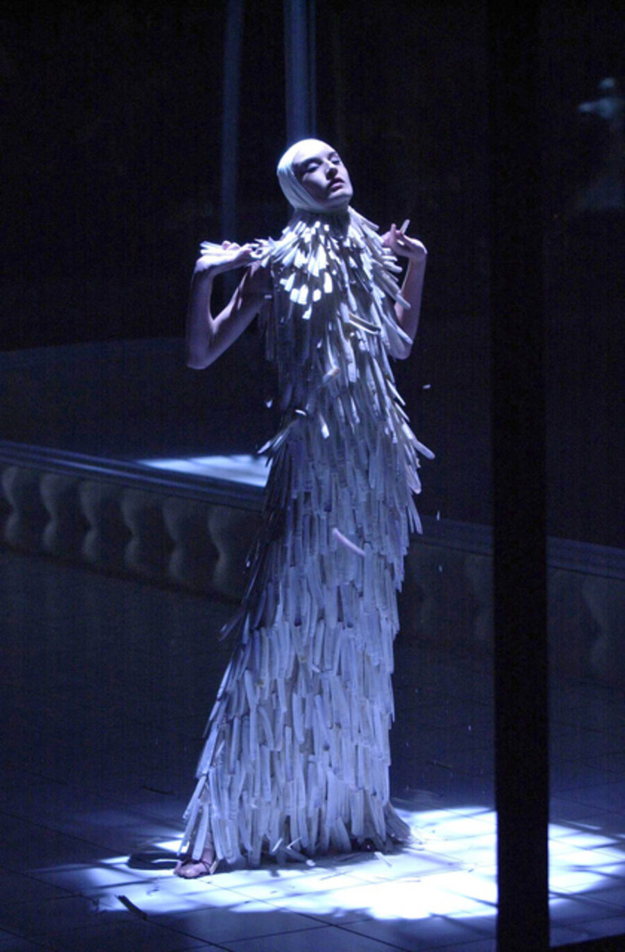 Razor clam shells dress