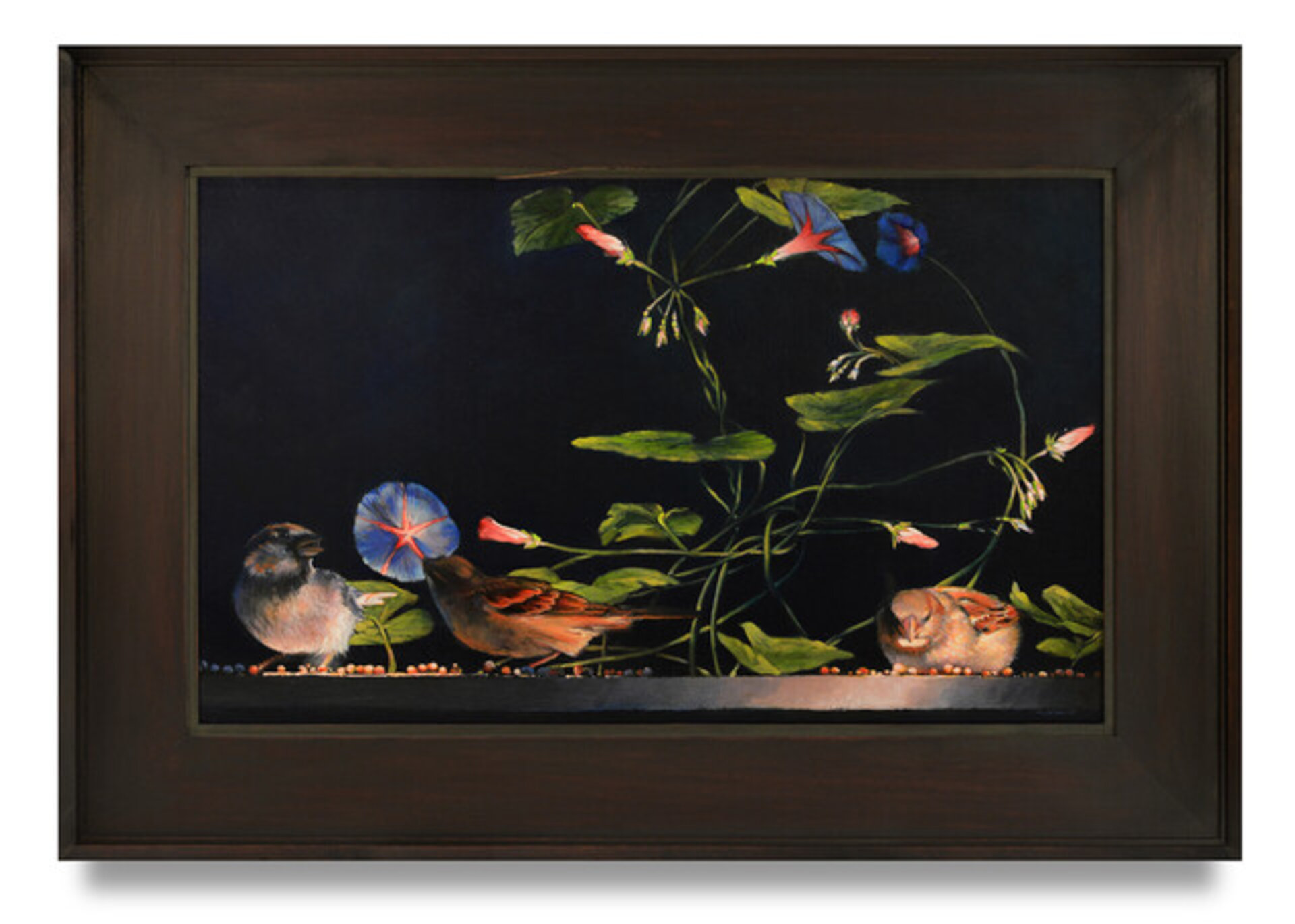 Sparrows and Morning Glories