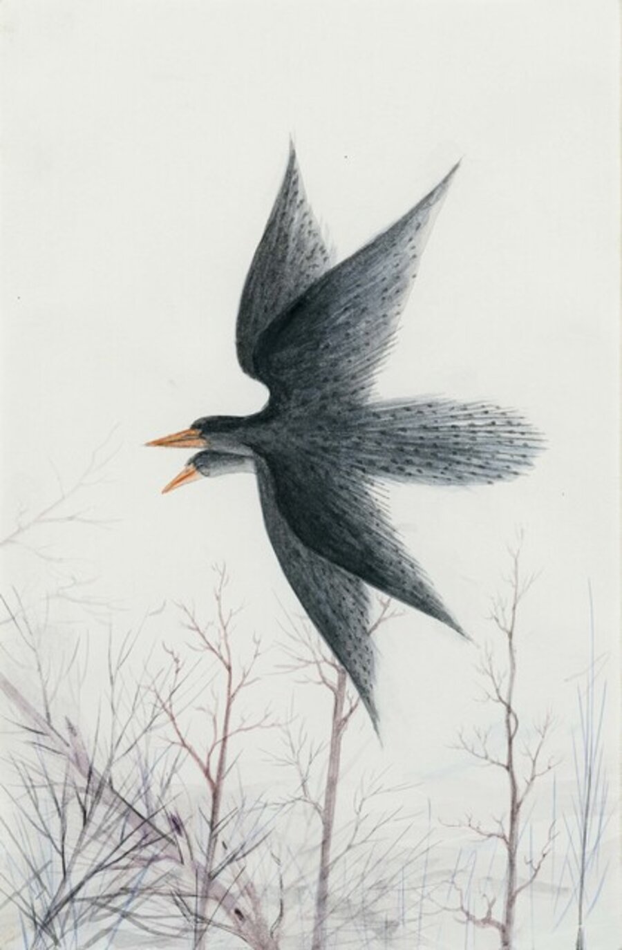 Wintervögel