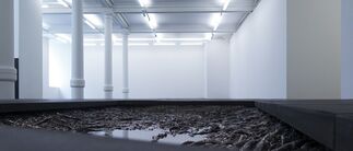 Cristina Iglesias, installation view