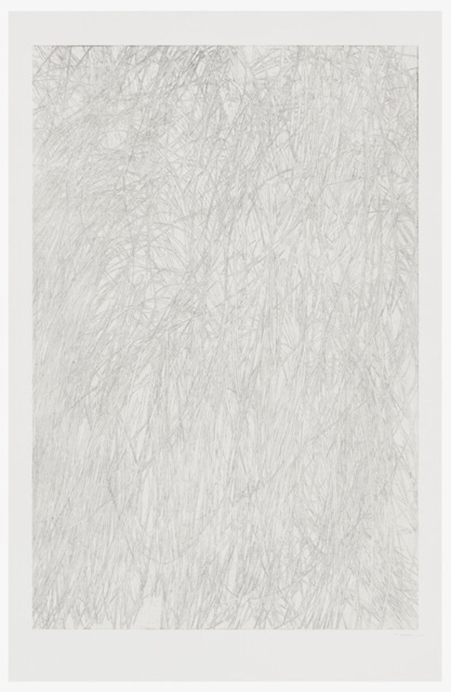 Untitled (grass)