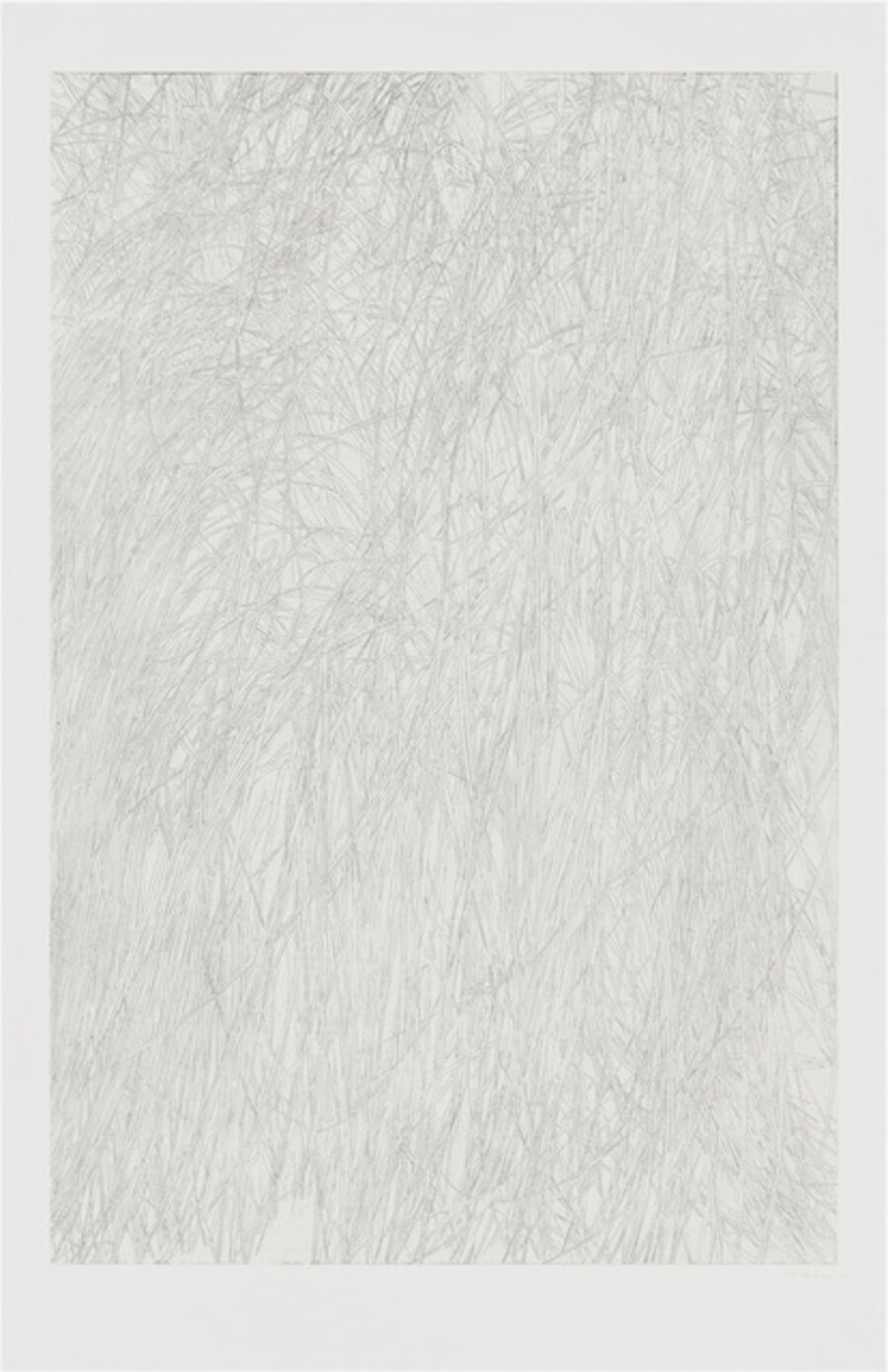 Untitled (grass)