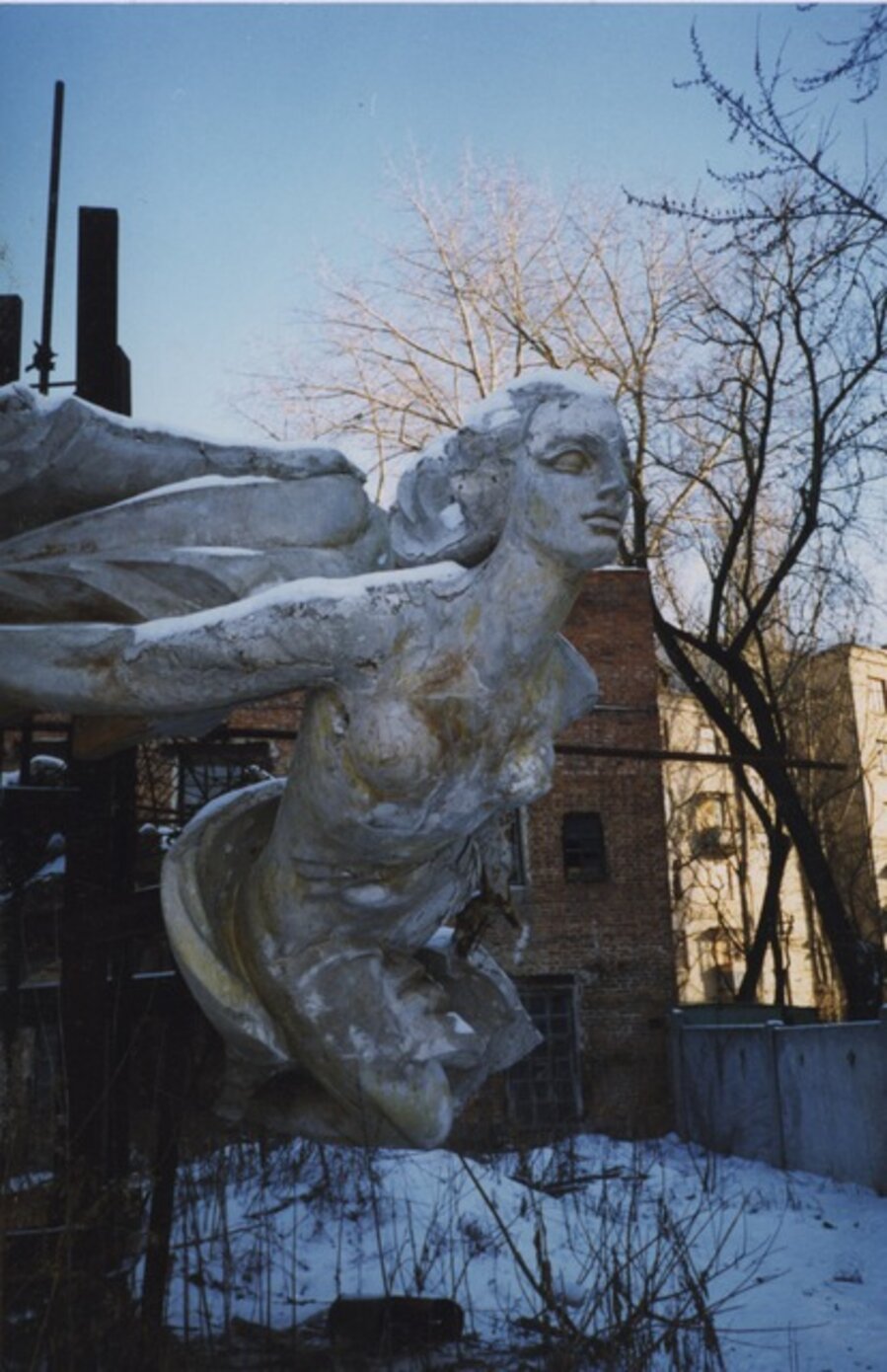 From the series "Case History"