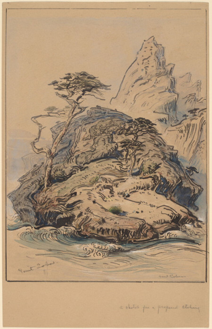 Point Lobos, California