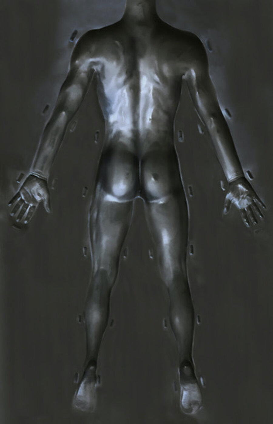 Body 5