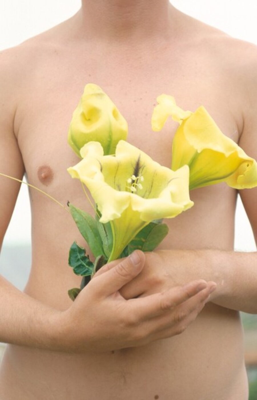 Hortus Conclusus Printemps 04