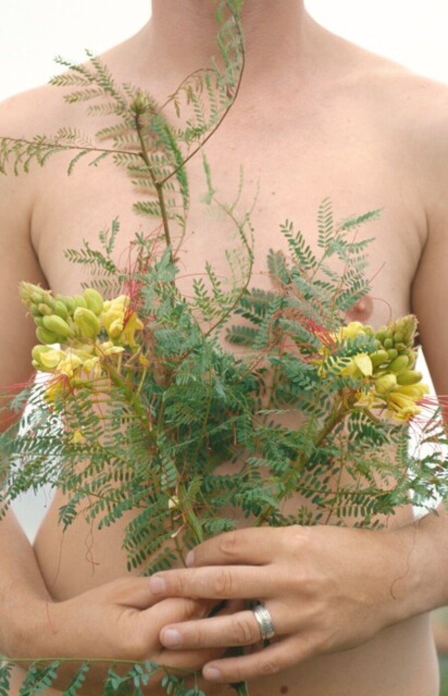 Hortus Conclusus Printemps 05