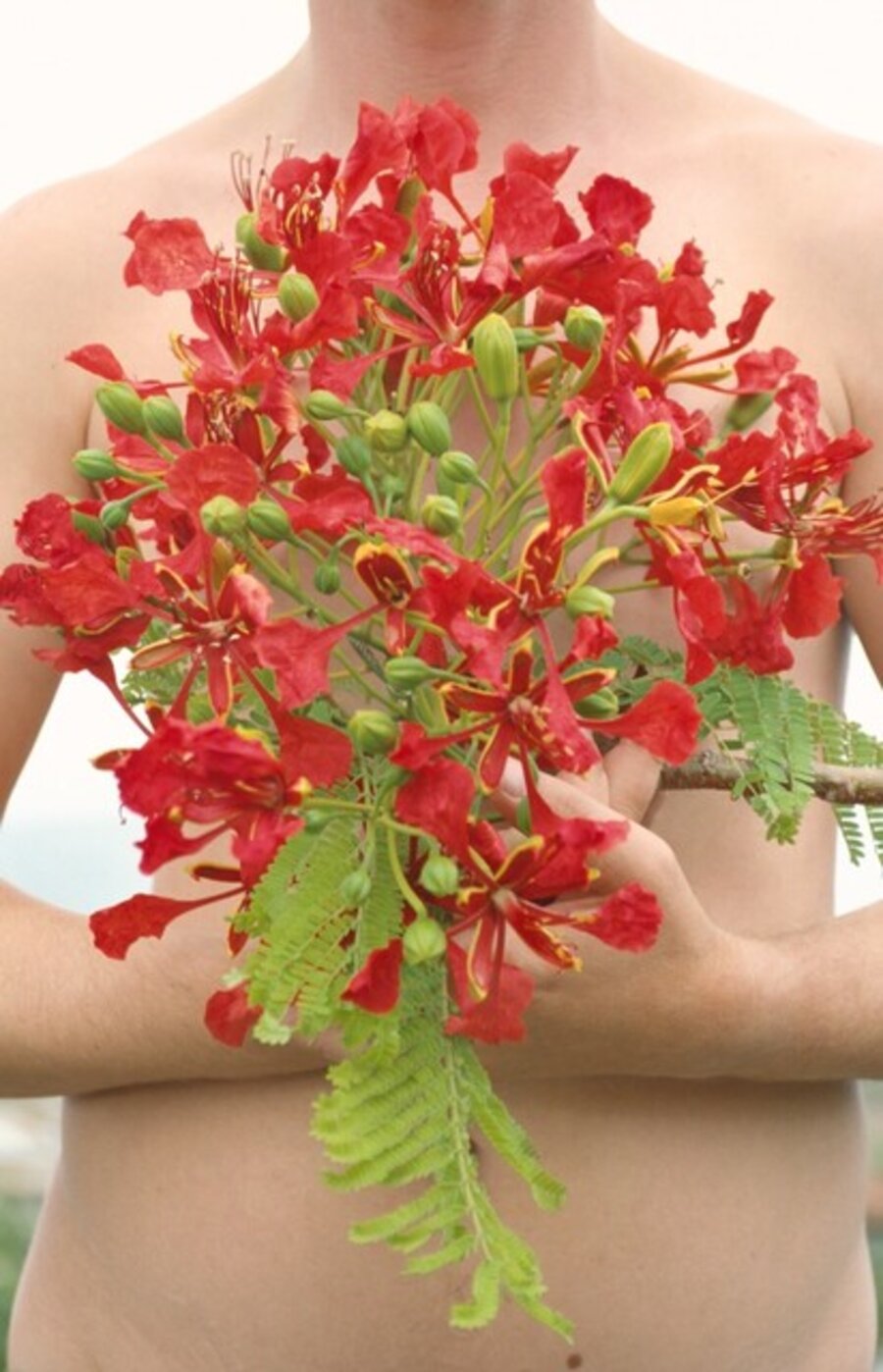 Hortus Conclusus Printemps 13