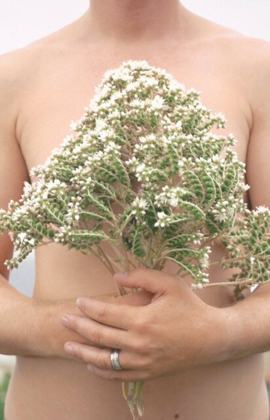Hortus Conclusus Printemps 06