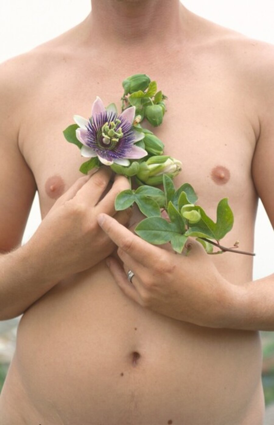 Hortus Conclusus Printemps 11