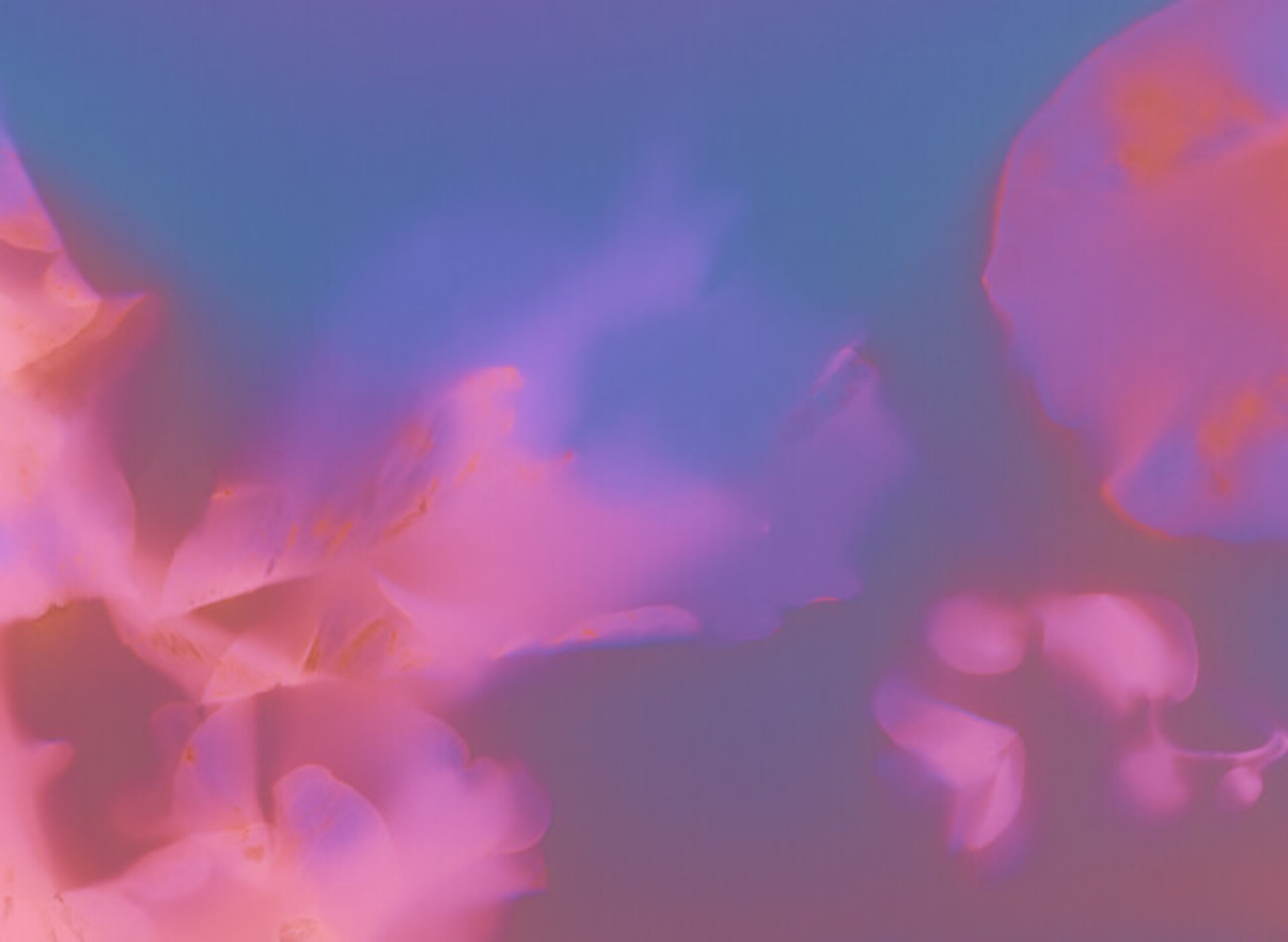 We fell across the sky