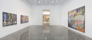 Jim Shaw: Only Wanted You to Love Me, installation view