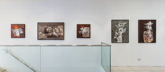 JAMIL NAQSH: an artist between three cultures, installation view