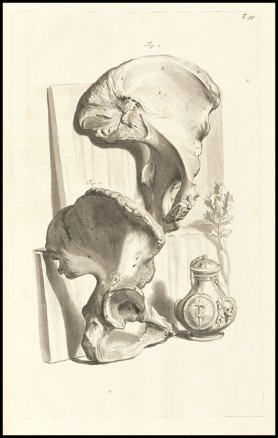 Nonagesimaenonae tabulae