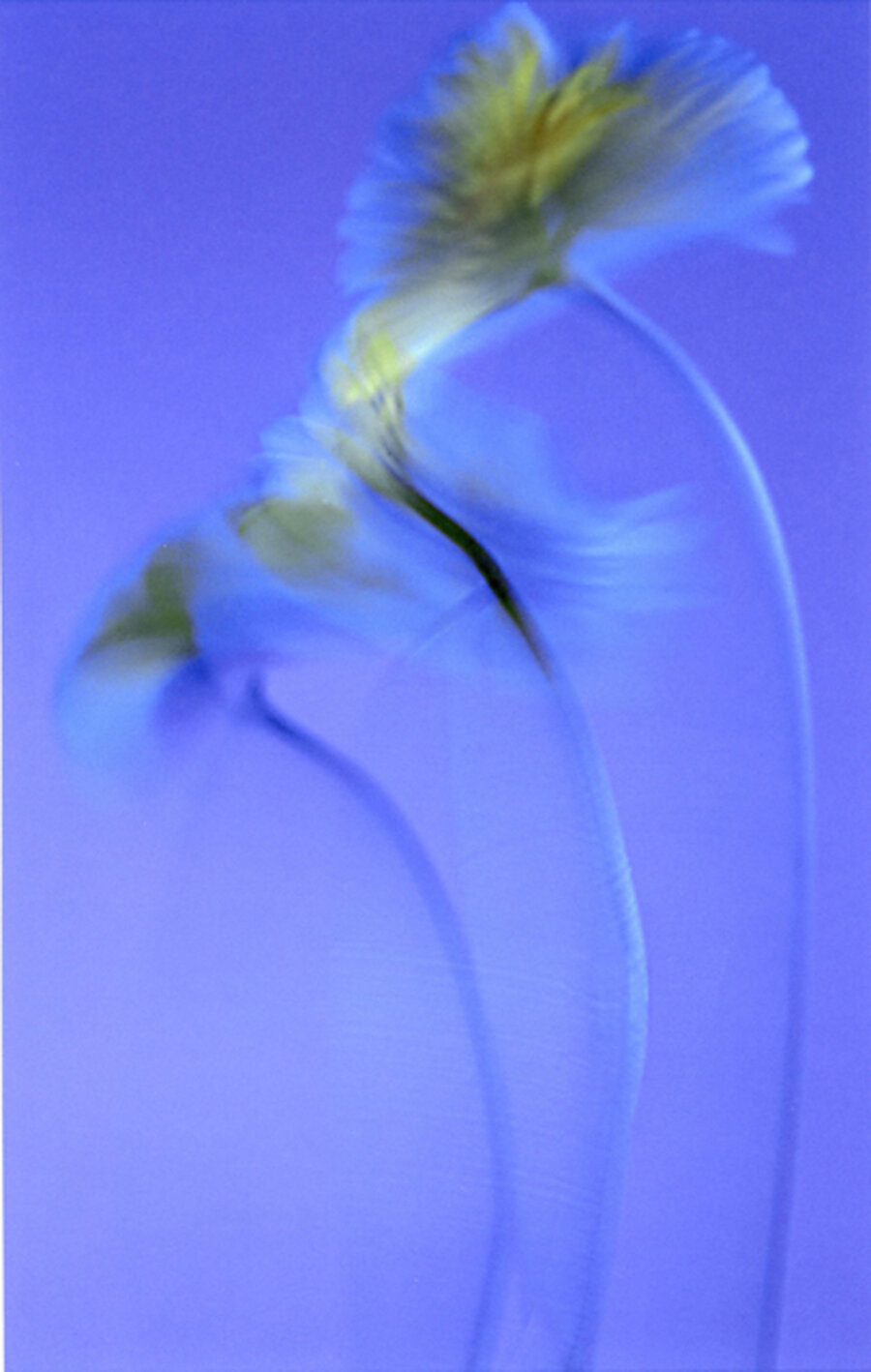 Dervish of May 18, 2007