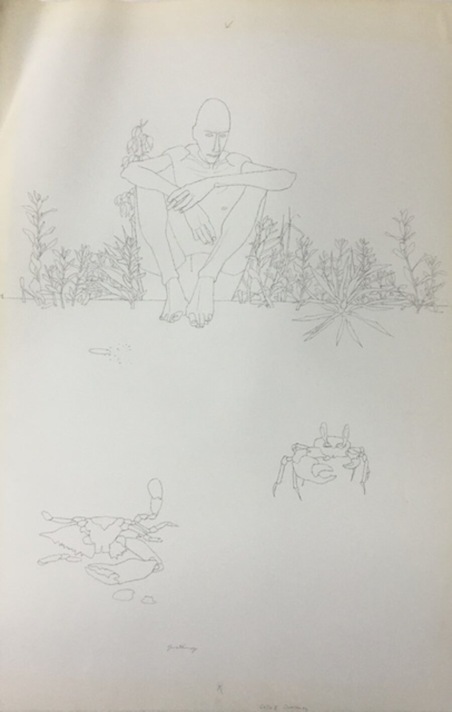 The Observer (study)