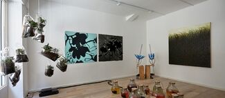 "Antropia" Curated by Marco Meneguzzo, installation view