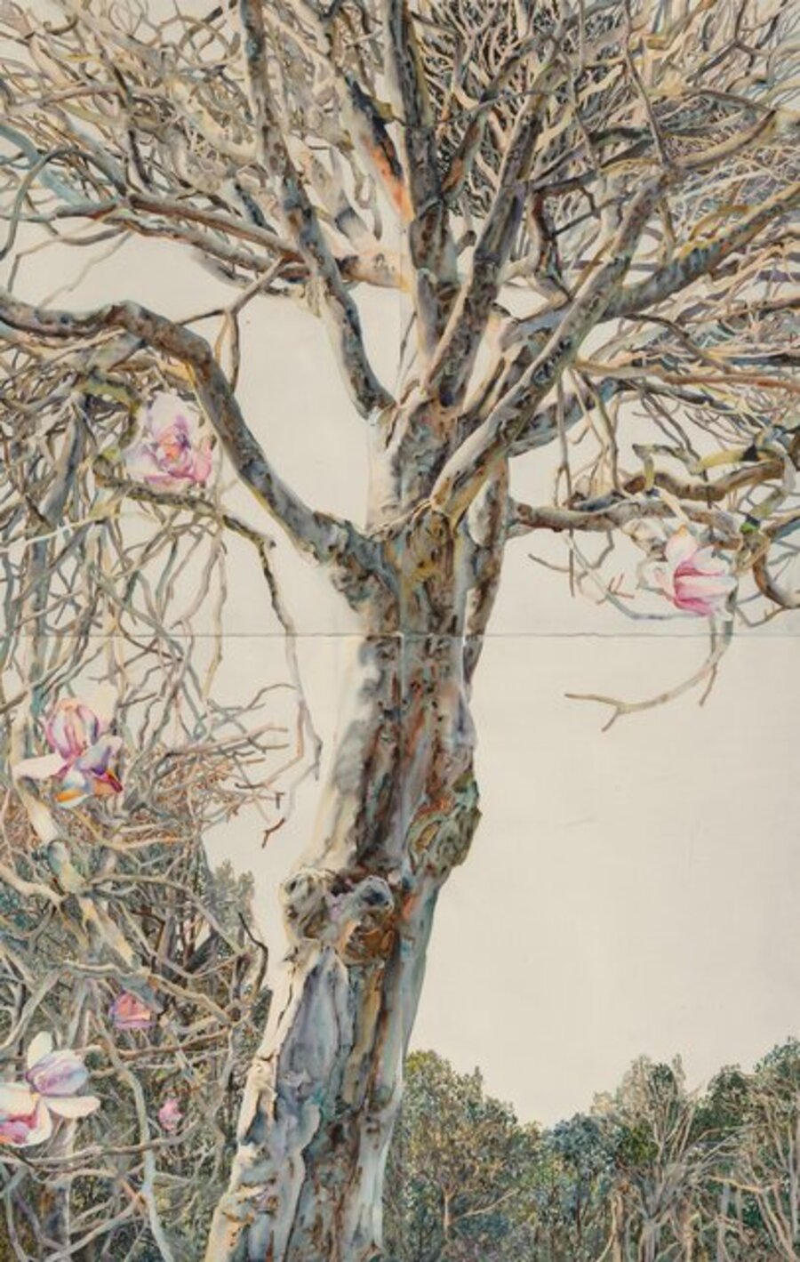 December Magnolias