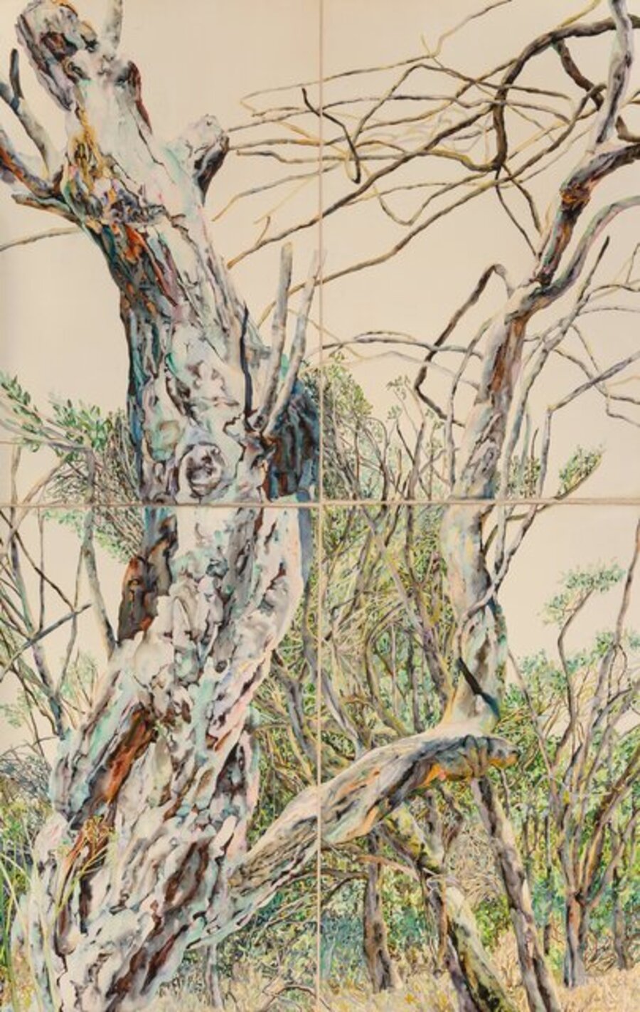 Grand Old Tree