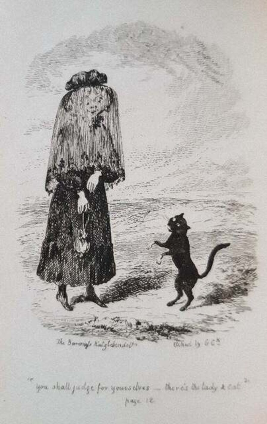 Cat's Tail