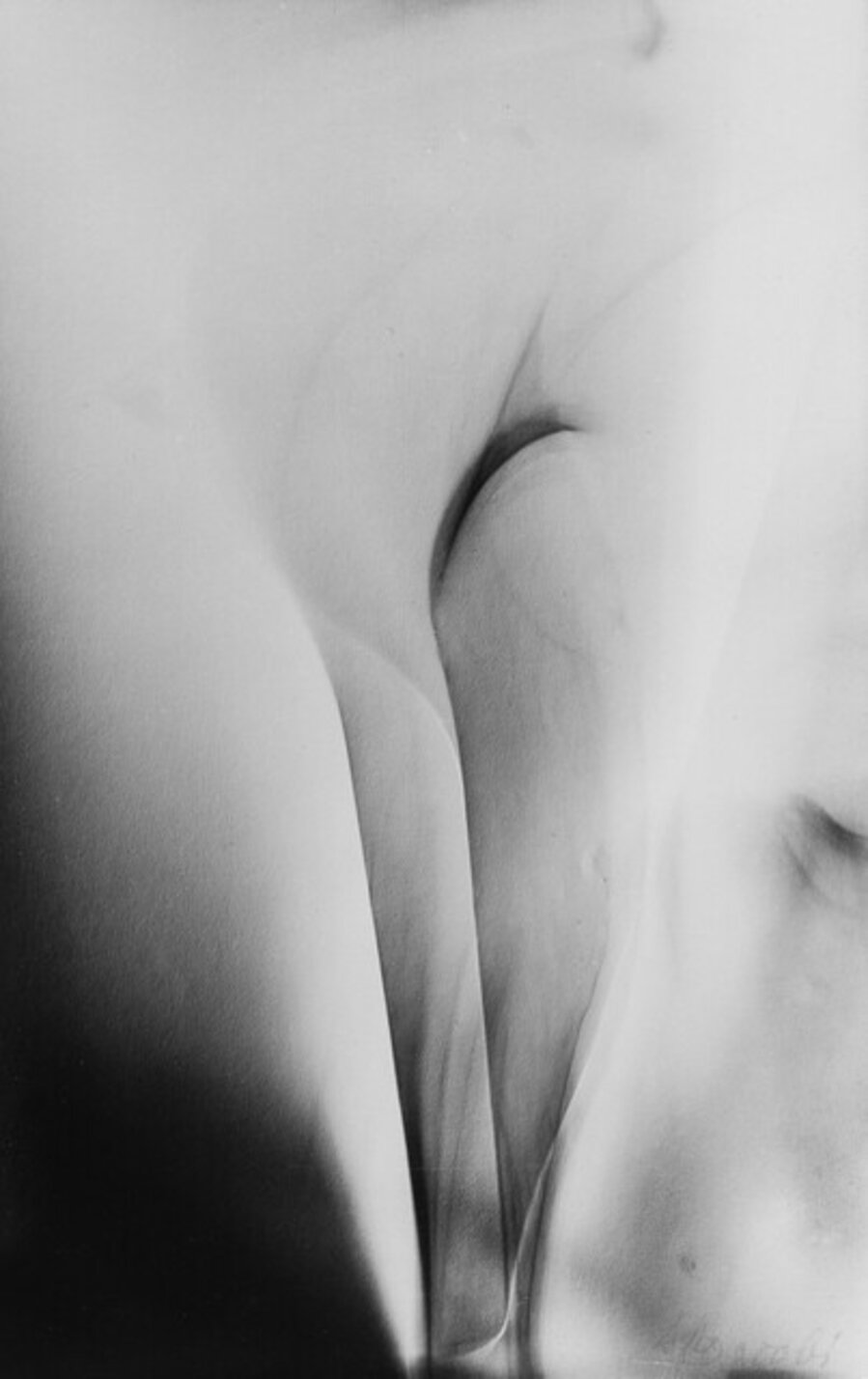 Photogenics