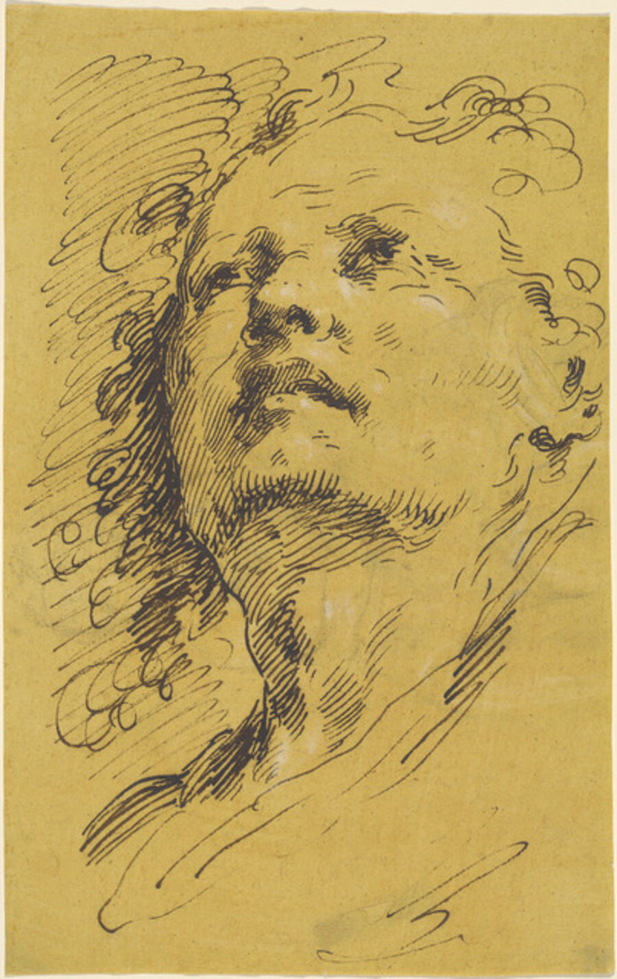 Head of a Man Looking Up