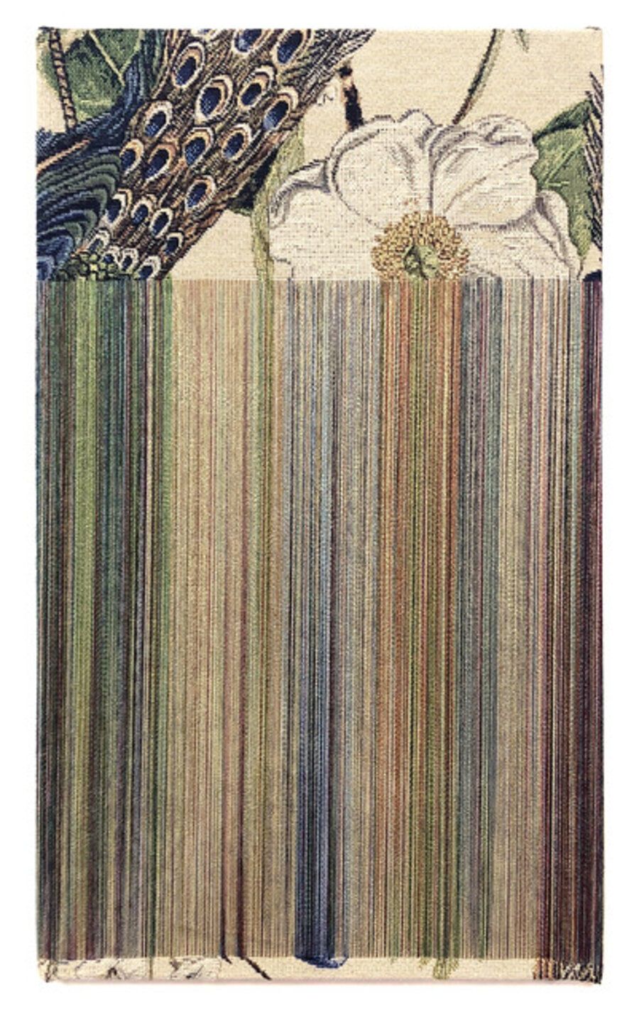 Fragile Surface - White Peacock 2
