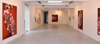 General Rouge, installation view